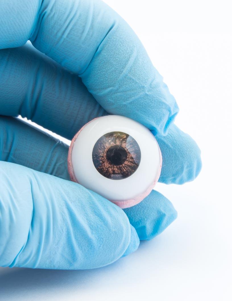 Artificial Eye Market Analysis, Size, and Forecast 2025-2029: North America (US and Canada), Europe (France, Germany, Italy, Spain, and UK), APAC (China, India, and Japan), and Rest of World (ROW)