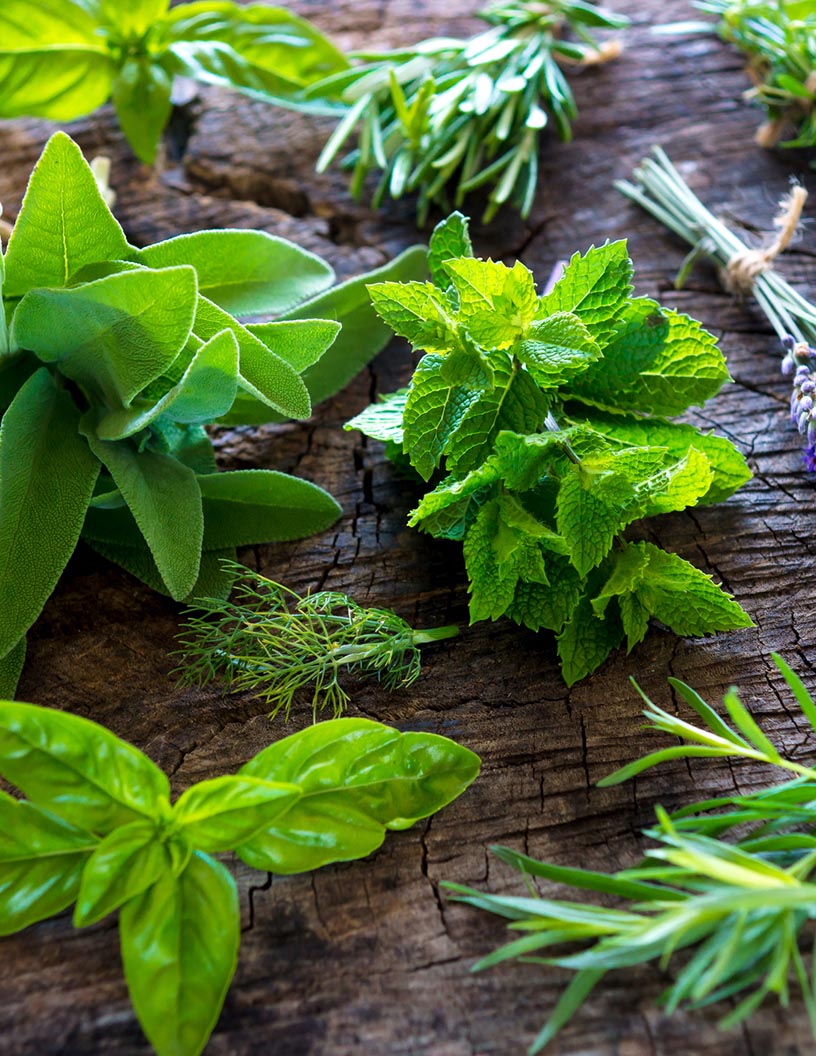 Feed Phytogenics Market Analysis APAC, North America, Europe, South America, Middle East and Africa - US, China, Japan, India, Germany - Size and Forecast 2024-2028