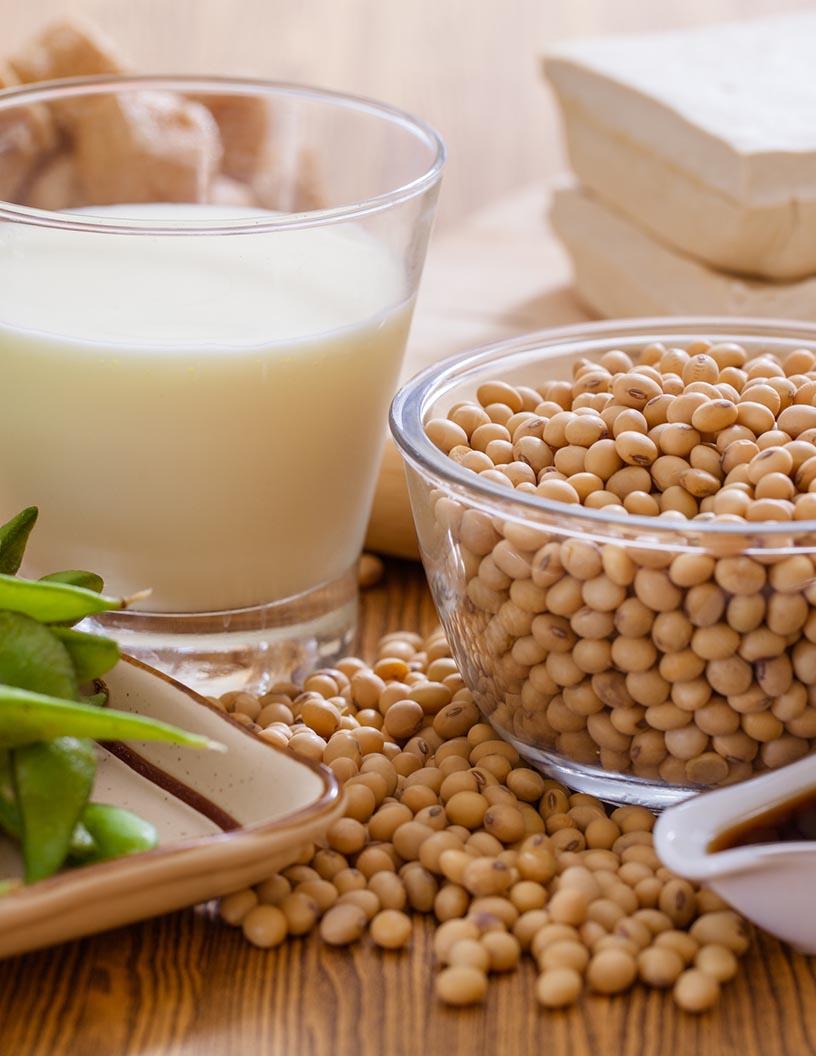 Soybean Derivatives Market Analysis, Size, and Forecast 2025-2029: North America (US, Canada, and Mexico), APAC (China, India, Indonesia, and Japan), South America (Argentina, Brazil, and Colombia), and Rest of World (ROW)
