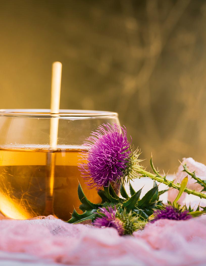 Milk Thistle Products Market Analysis Europe, North America, APAC, South America, Middle East and Africa - Germany, US, Italy, China, UK - Size and Forecast 2024-2028