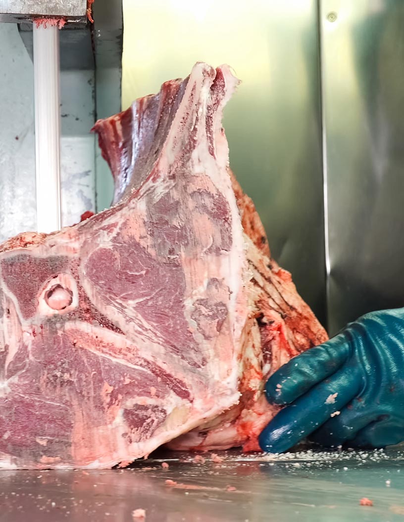 Camel Meat Market Analysis Middle East and Africa, Europe, APAC, North America, South America - US, Egypt, Saudi Arabia, United Arab Emirates, Belgium - Size and Forecast 2024-2028