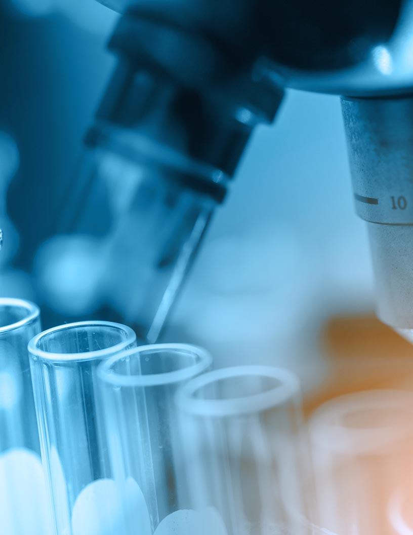 Clinical Trial Support Services Market Analysis, Size, and Forecast 2025-2029: North America (US), Europe (France, Germany, Italy, and UK), APAC (China, India, Japan, and South Korea), South America (Brazil), and Rest of World (ROW)