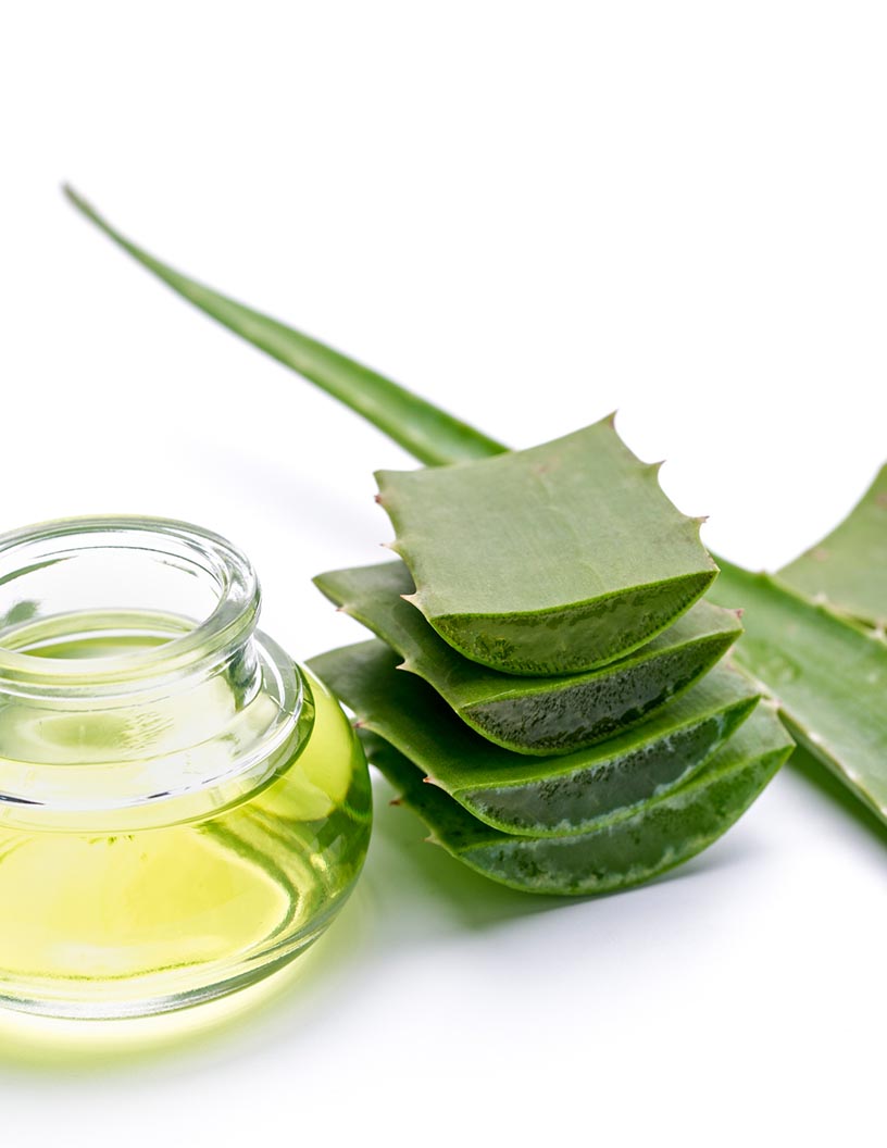 Aloe Vera Juice Market Analysis, Size, and Forecast 2024-2028: North America (Canada and Mexico), Europe (France, Germany, and UK), Middle East and Africa (UAE), APAC (China, India, Indonesia, Japan, Malaysia, South Korea, and Thailand), South America (Brazil), and Rest of World (ROW)