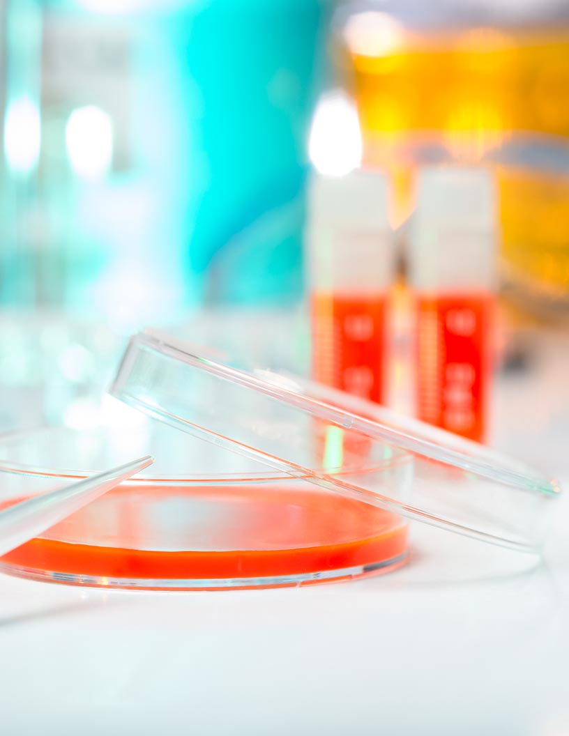 Transfection Technologies Market Analysis, Size, and Forecast 2025-2029: North America (US and Canada), Europe (France, Germany, Italy, and UK), Middle East and Africa (Egypt, KSA, Oman, and UAE), APAC (China, India, and Japan), South America (Argentina and Brazil), and Rest of World (ROW)