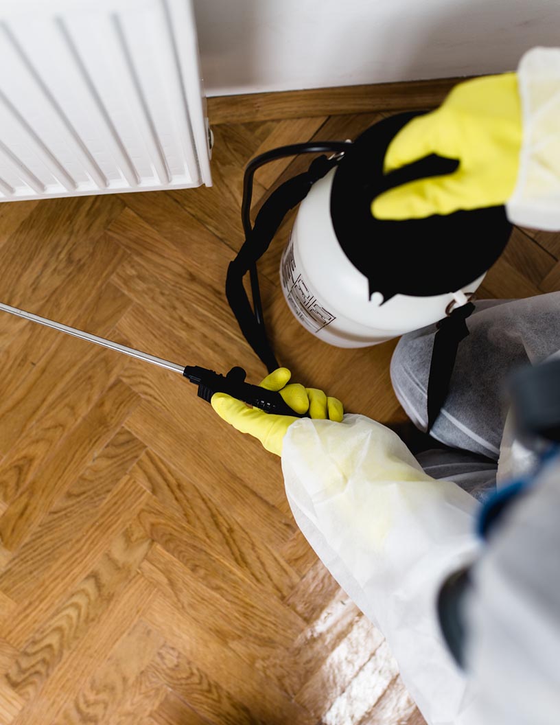 Termite Control Market Analysis, Size, and Forecast 2025-2029: North America (US and Canada), Europe (France, Germany, Italy, and UK), Middle East and Africa (Egypt, KSA, Oman, and UAE), APAC (China, India, and Japan), South America (Argentina and Brazil), and Rest of World (ROW)