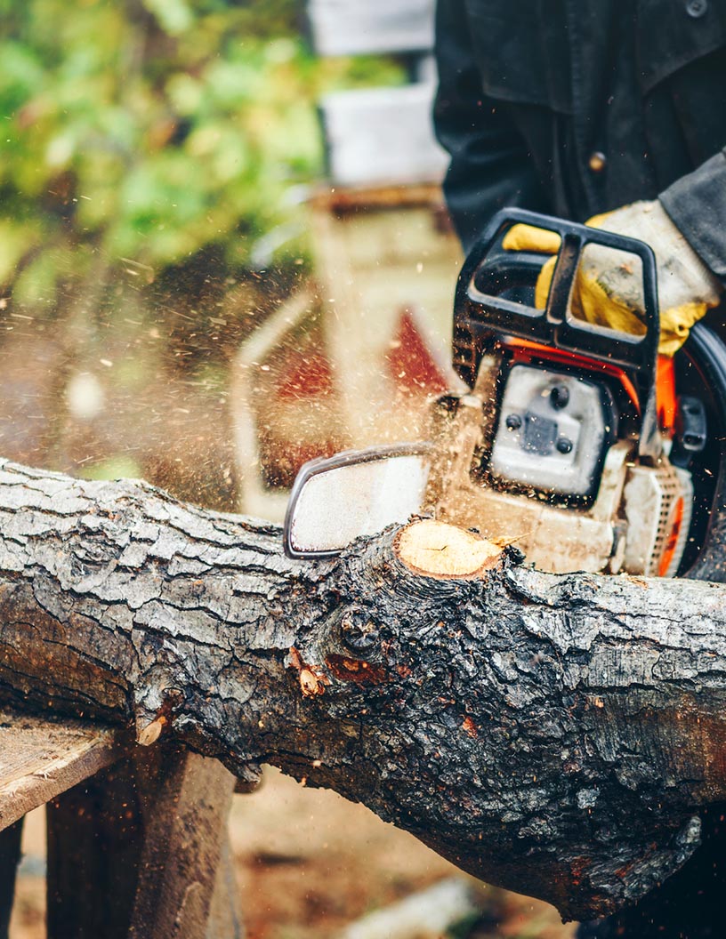 Gas Powered Chainsaws Market Analysis North America, Europe, APAC, Middle East and Africa, South America - US, Germany, UK, Japan, India - Size and Forecast 2024-2028