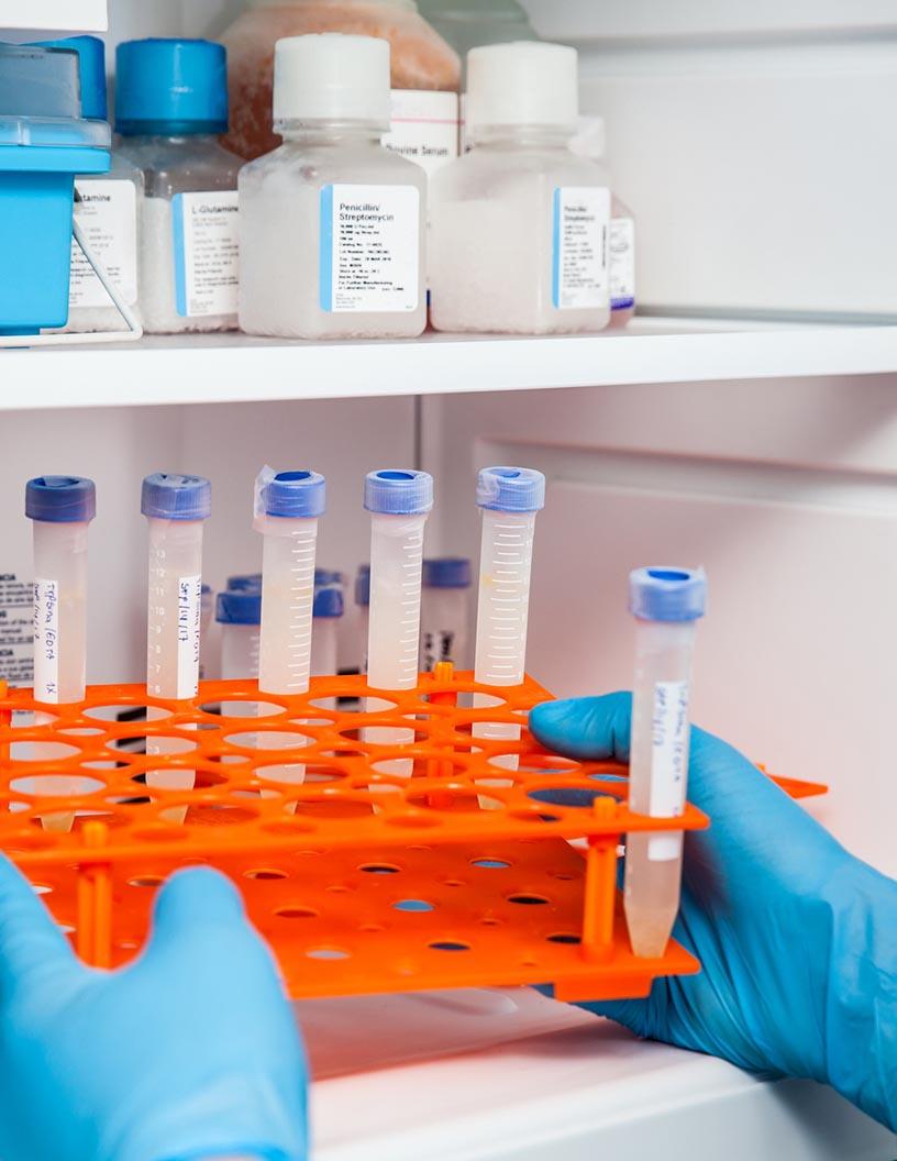 Biomedical Refrigerator And Freezer Market Analysis North America, Europe, Asia, Rest of World (ROW) - US, Canada, Germany, UK, China, France, Italy, Japan, India, South Korea - Size and Forecast 2024-2028