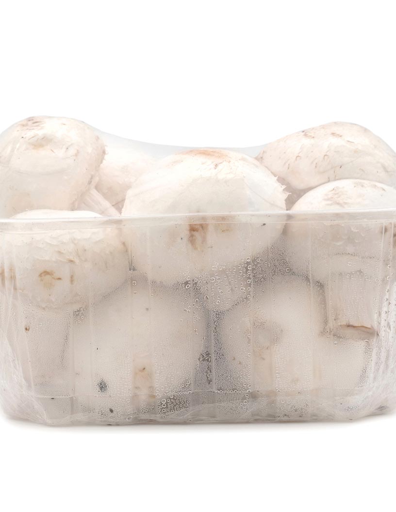 Mushroom Packaging Market by Distribution Channel and Geography - Forecast and Analysis 2022-2026