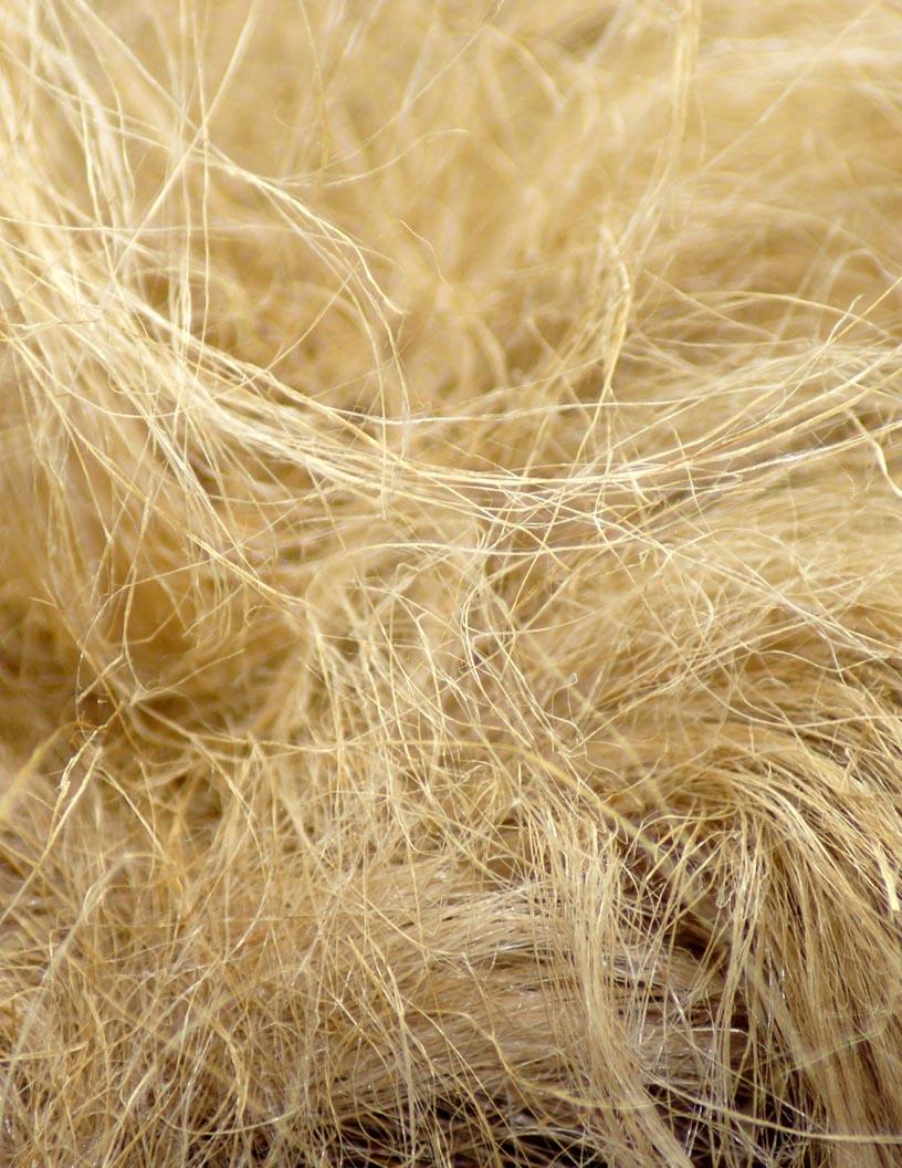 Hemp Fiber Market Analysis APAC, Europe, North America, Middle East and Africa, South America - China, Russia, France, Japan, Canada, India, South Korea, UK, Italy, US - Size and Forecast 2024-2028