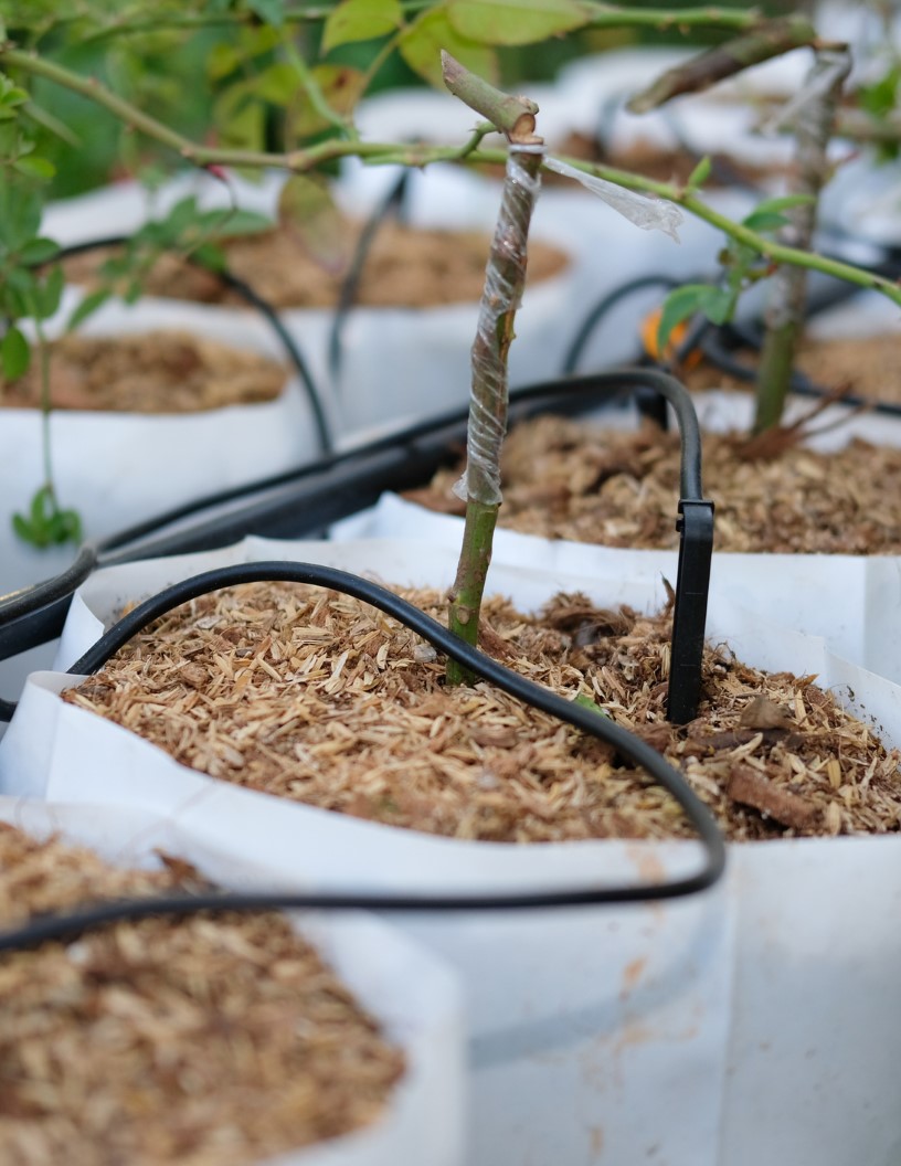 Drip Emitters Market Analysis North America, APAC, Europe, South America, Middle East and Africa - US, Canada, France, China, Russia - Size and Forecast 2024-2028