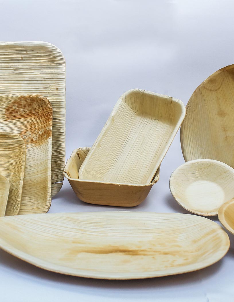Disposable Plates Market Analysis APAC, North America, Europe, South America, Middle East and Africa - US, China, India, Germany, UK - Size and Forecast 2024-2028