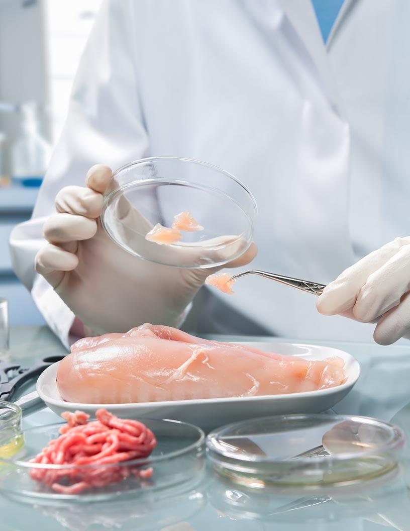 Food Pathogen Testing Market Analysis, Size, and Forecast 2025-2029: North America (US and Canada), Europe (France, Germany, and UK), Middle East and Africa (South Africa), APAC (China, India, and Japan), South America (Brazil), and Rest of World (ROW)