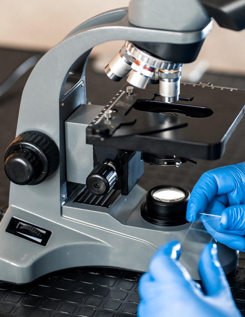 Biomaterial Testing Equipment Market Analysis North America, Europe, APAC, South America, Middle East and Africa - US, Germany, UK, China, Japan - Size and Forecast 2024-2028