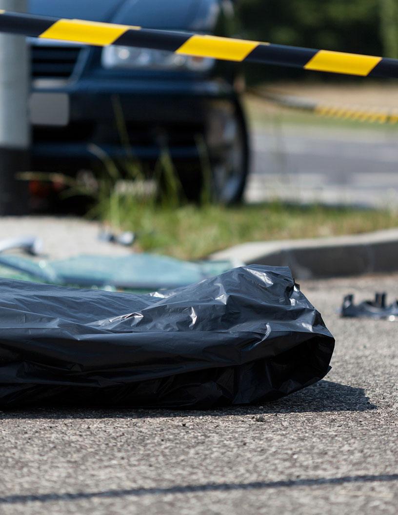 Body Bags Market Analysis Europe - Size and Forecast 2024-2028