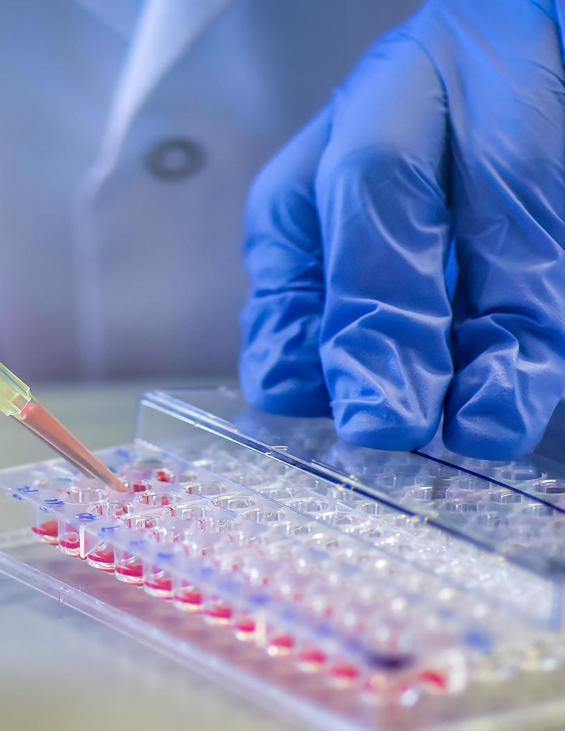Lateral Flow Assay Components Market Analysis North America, Europe, Asia, Rest of World (ROW) - US, Germany, UK, China, Canada - Size and Forecast 2024-2028