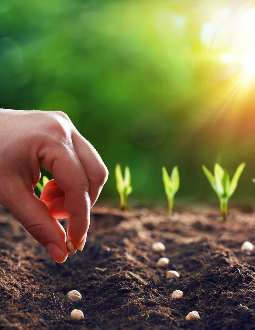 Agriculture Market Analysis Bahrain - Size and Forecast 2024-2028