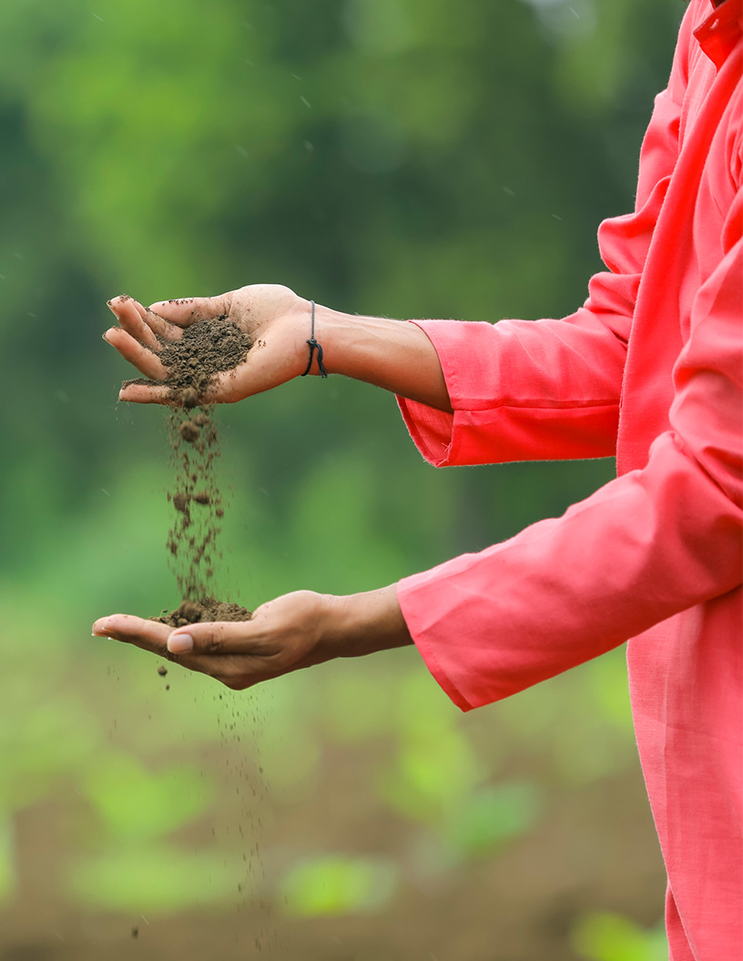 Soil Conditioners Market Analysis North America, Europe, APAC, South America, Middle East and Africa - US, China, Germany, Mexico, Japan - Size and Forecast 2024-2028