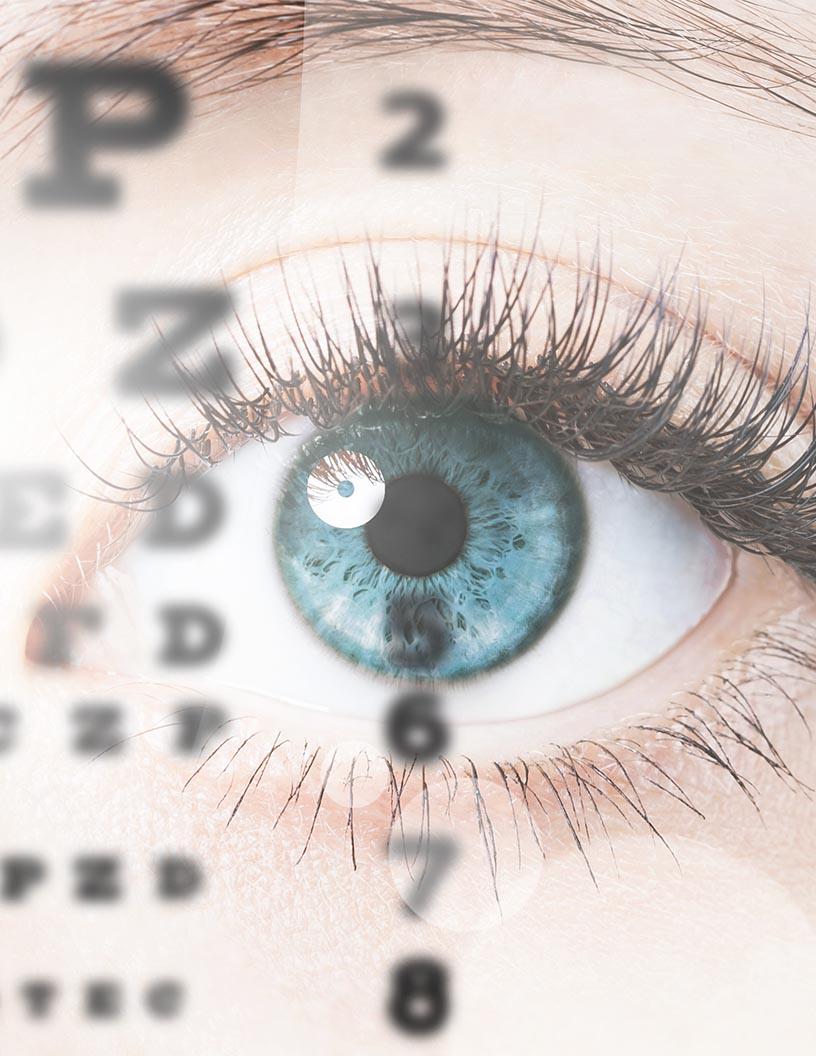 Optometry Software Market Analysis Europe - Size and Forecast 2024-2028