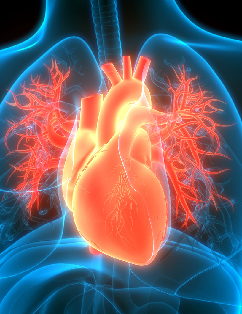Cardiac Biomarkers Market Analysis North America, Europe, Asia, Rest of World (ROW) - US, Germany, China, UK, India - Size and Forecast 2024-2028