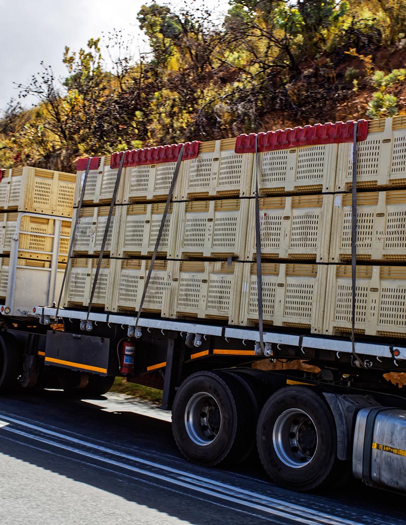 Palletized Load System Market Analysis North America, Europe, APAC, South America, Middle East and Africa - US, China, Russia, Germany, India - Size and Forecast 2024-2028