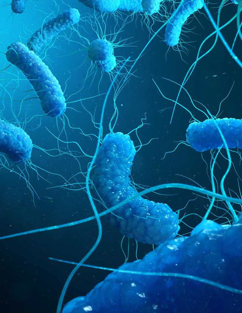 Clostridium Diagnostics Market Analysis North America, Europe, Asia, Rest of World (ROW) - US, Germany, UK, China, Canada - Size and Forecast 2024-2028