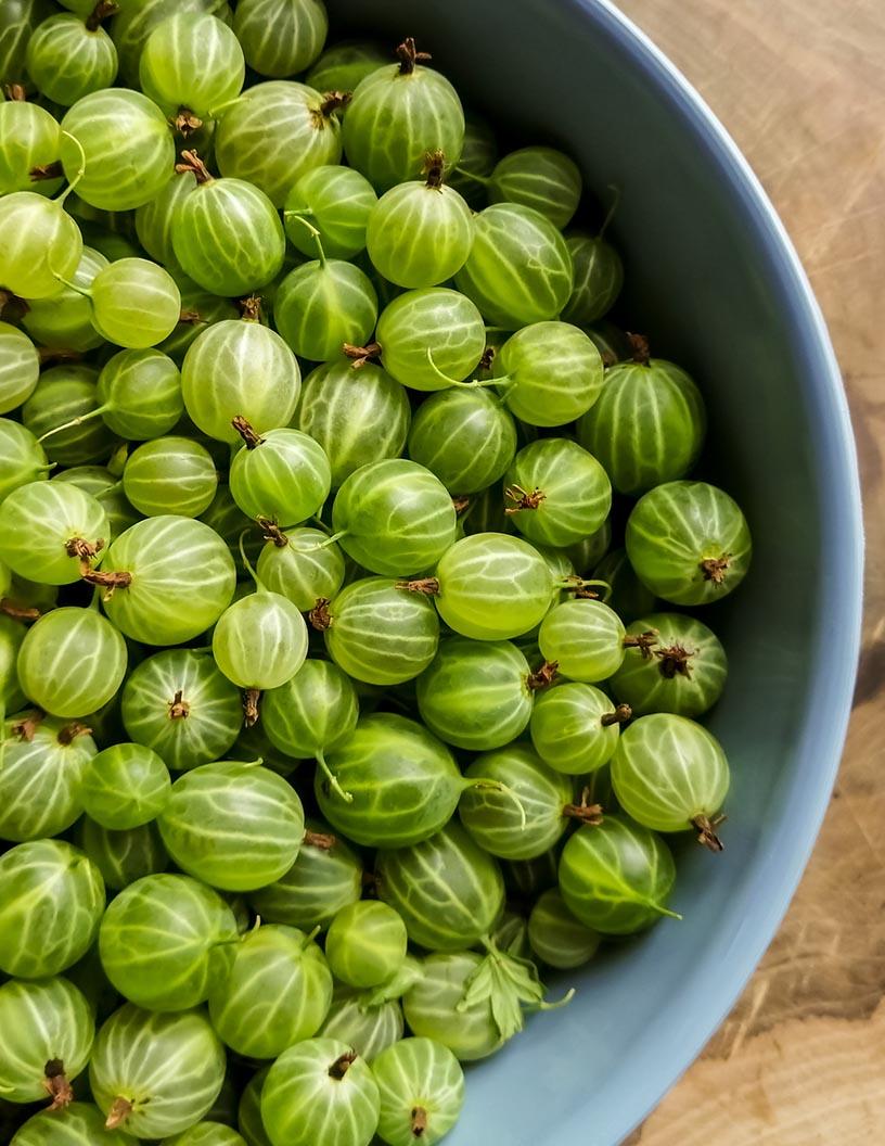 Gooseberry Products Market Analysis Europe, APAC, North America, South America, Middle East and Africa - US, Germany, India, Russia, Canada, China, UK, Japan, France, South Korea - Size and Forecast 2025-2029