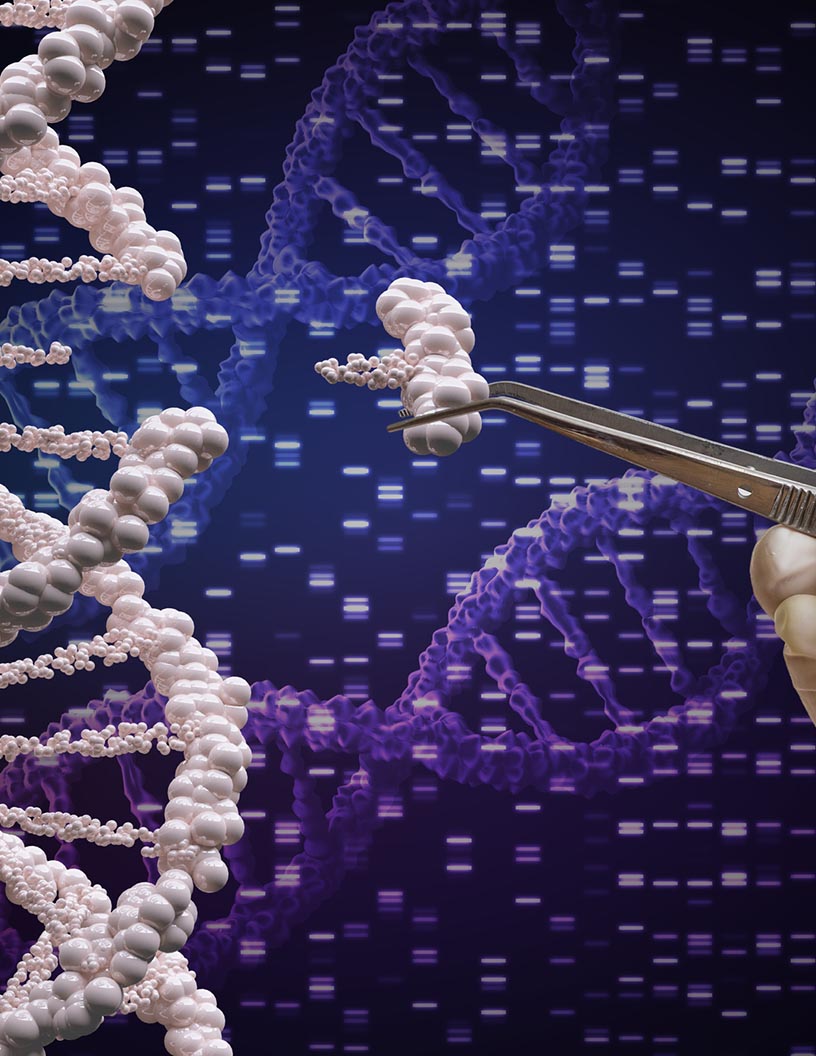 Epigenetics Market Analysis, Size, and Forecast 2024-2028: North America (US and Canada), Europe (Germany, Netherlands, and UK), Middle East and Africa (UAE), APAC (China, Japan, and South Korea), South America (Brazil), and Rest of World (ROW)