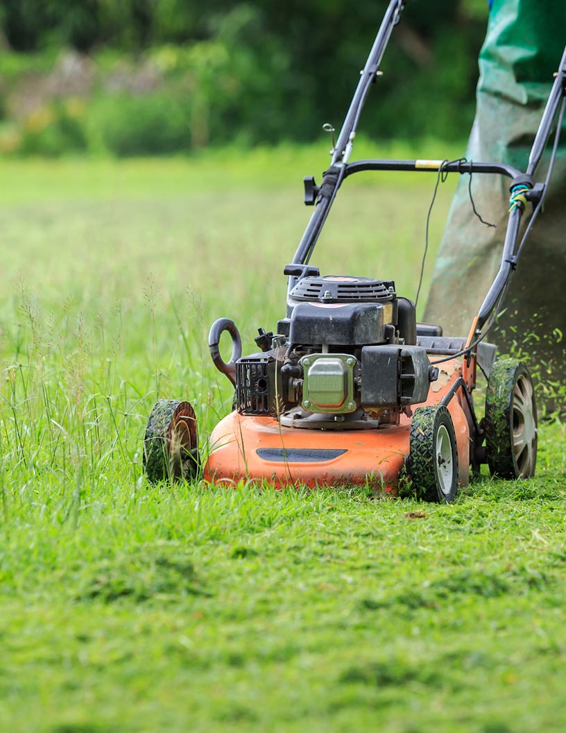 Electric Lawn Mower Market Analysis North America, Europe, APAC, South America, Middle East and Africa - US, Germany, France, UK, China - Size and Forecast 2024-2028