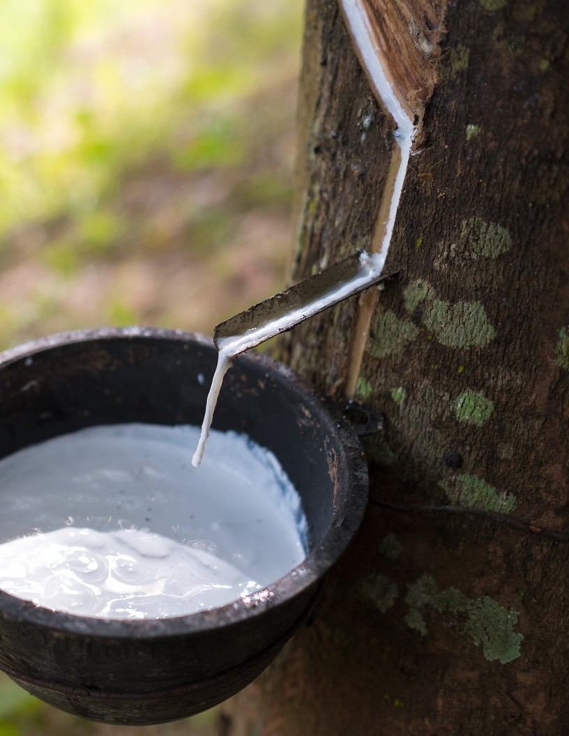 Rubber Market Analysis, Size, and Forecast 2023-2027: North America (US and Canada), Europe (France, Germany, Italy, and UK), Middle East and Africa (Egypt, KSA, Oman, and UAE), APAC (China, India, and Japan), South America (Argentina and Brazil), and Rest of World (ROW)