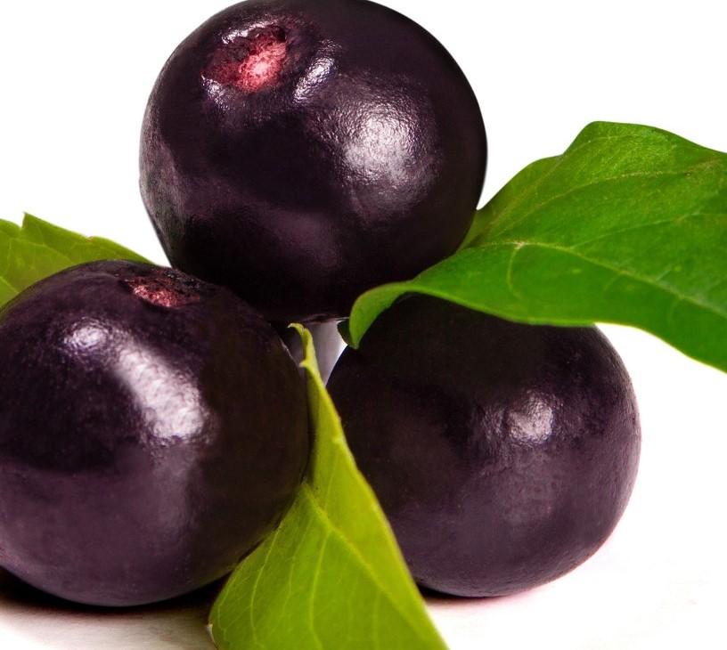 Acai Berry Market Analysis, Size, and Forecast 2025-2029: North America (US and Canada), Europe (France, Germany, and UK), APAC (China), South America (Argentina, Brazil, Colombia, and Peru), and Rest of World (ROW)