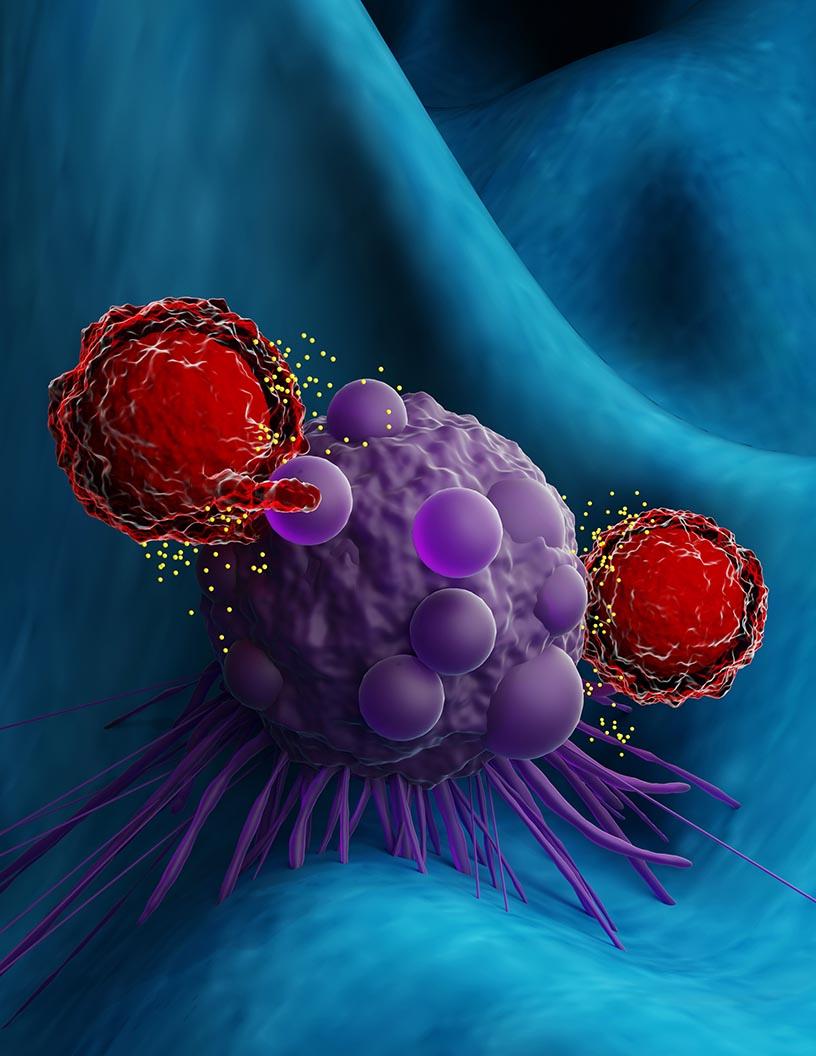 Car T-Cell Therapy Market Analysis North America, Europe, Asia, Rest of World (ROW) - US, UK, China, Canada, Japan, Germany, France, India, Italy, South Korea - Size and Forecast 2025-2029