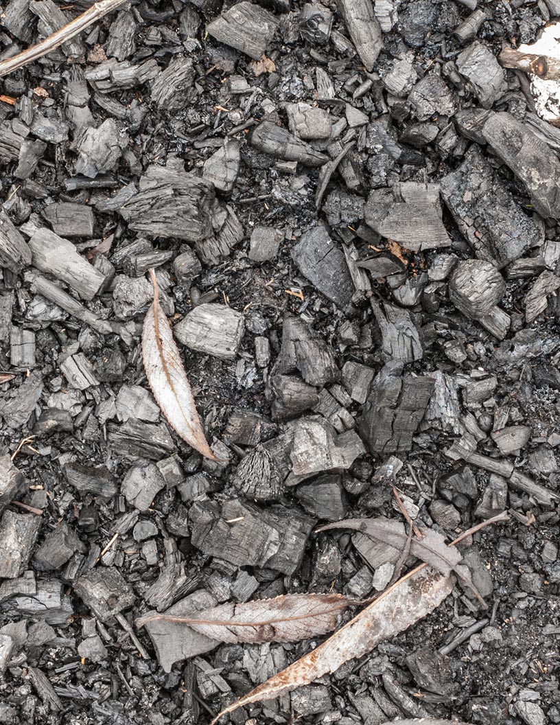 Biochar Market Analysis US - Size and Forecast 2024-2028