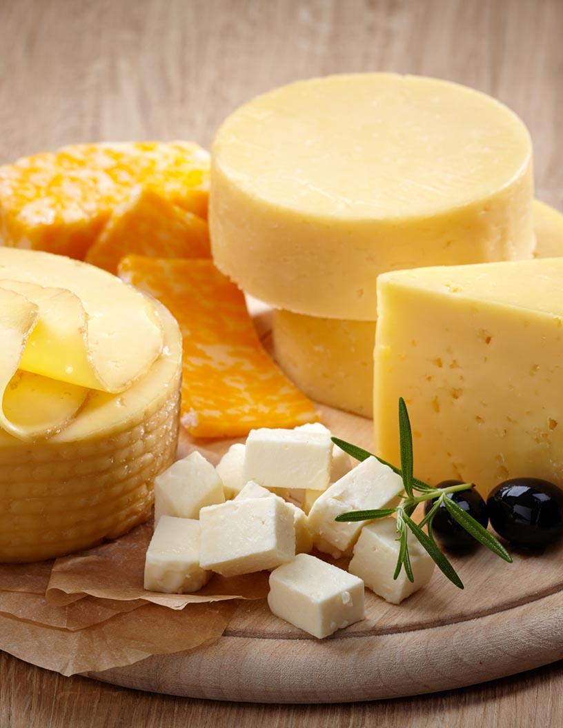US Cheese Market Analysis, Size, and Forecast 2025-2029