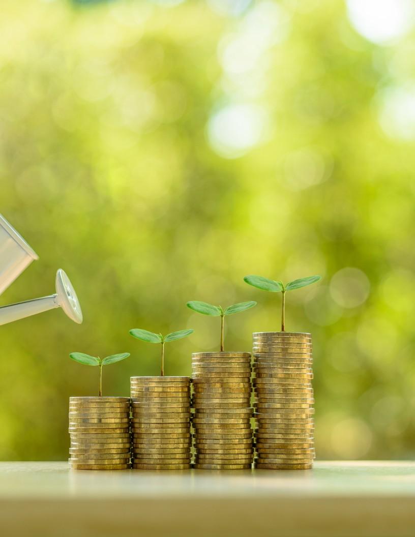 Impact Investing Market Analysis, Size, and Forecast 2025-2029: North America (US and Canada), Europe (France, Germany, Italy, UK), APAC (China, India, Japan, South Korea), South America , and Middle East and Africa