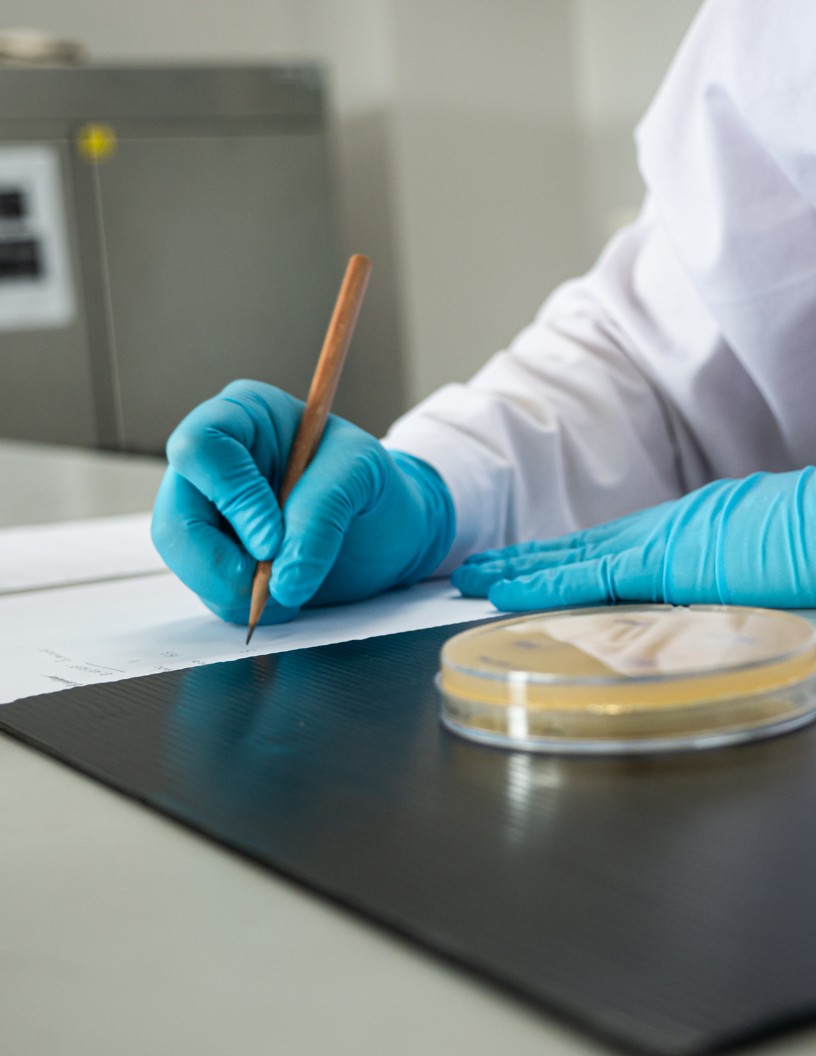 Bioprocess Validation Market Analysis North America, Europe, Asia, Rest of World (ROW) - US, Germany, China, Canada, Japan - Size and Forecast 2024-2028