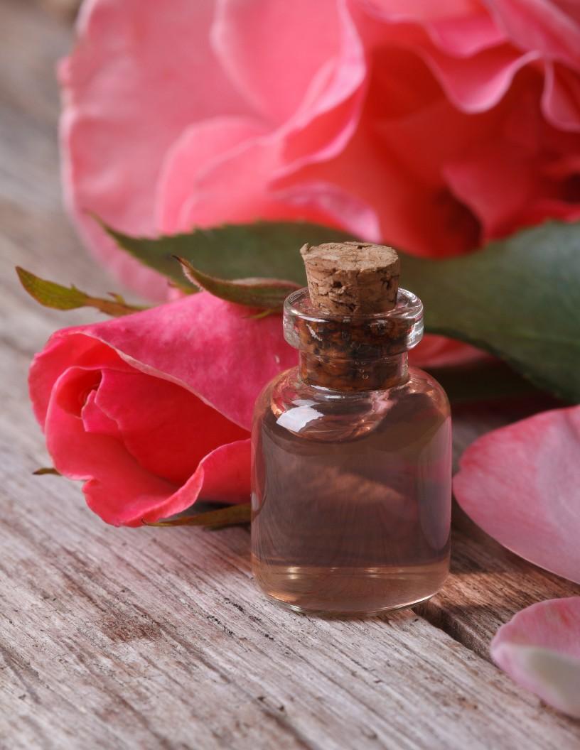 Rose Water Market Analysis, Size, and Forecast 2025-2029: Europe (France, Germany, Italy, UK), APAC (China, India, Japan, South Korea), North America (US and Canada), Middle East and Africa , and South America