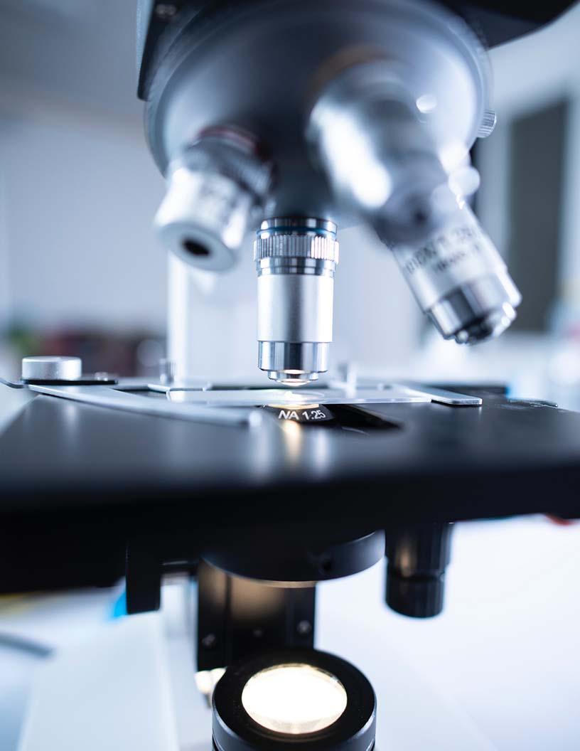 Preclinical CRO Market Analysis North America, Europe, Asia, Rest of World (ROW) - US, Germany, Canada, UK, China, France, India, Japan, Italy, Mexico - Size and Forecast 2025-2029