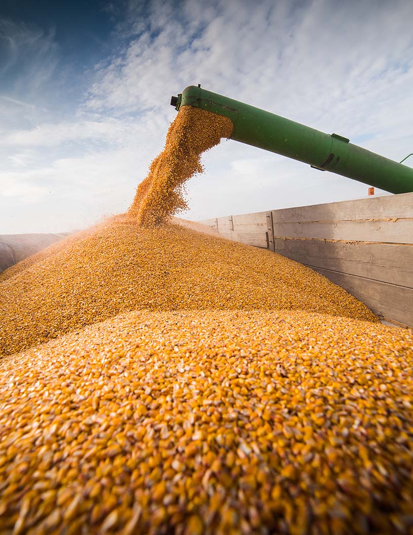 Agricultural Machinery Market Analysis UK - Size and Forecast 2024-2028