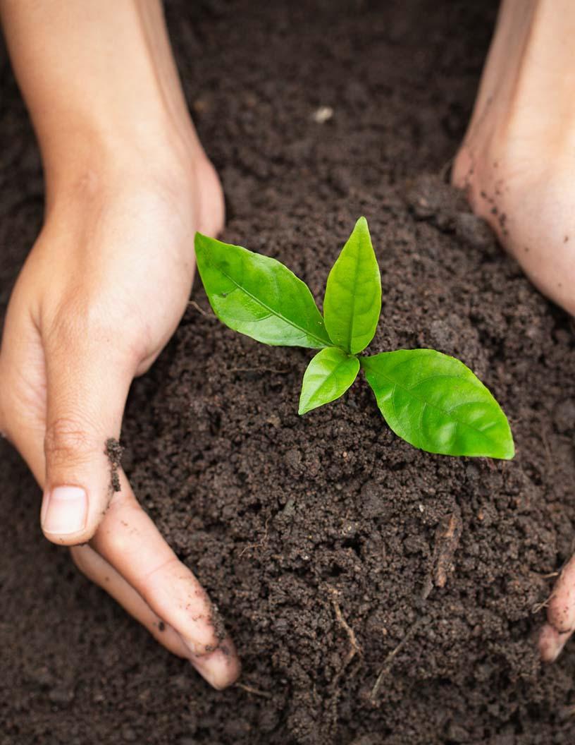 Soil Treatment Market Analysis, Size, and Forecast 2025-2029: North America (US and Canada), Europe (Germany, Spain, UK), APAC (China, India, Japan), South America (Argentina and Brazil), and Middle East and Africa