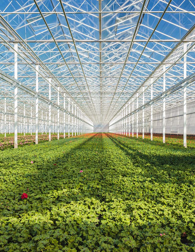 Commercial Greenhouse Market Analysis North America, Europe, APAC, South America, Middle East and Africa - US, The Netherlands, China, Germany, Spain - Size and Forecast 2024-2028