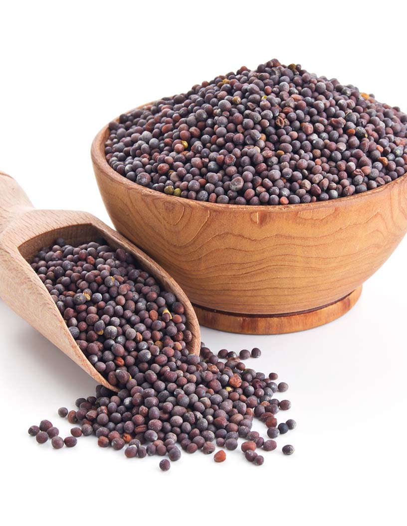 Mustard Market Analysis, Size, and Forecast 2024-2028: North America (Canada and Mexico), Europe (France, Germany, and UK), Middle East and Africa (UAE), APAC (China, India, Indonesia, Japan, Malaysia, South Korea, and Thailand), South America (Brazil), and Rest of World (ROW)