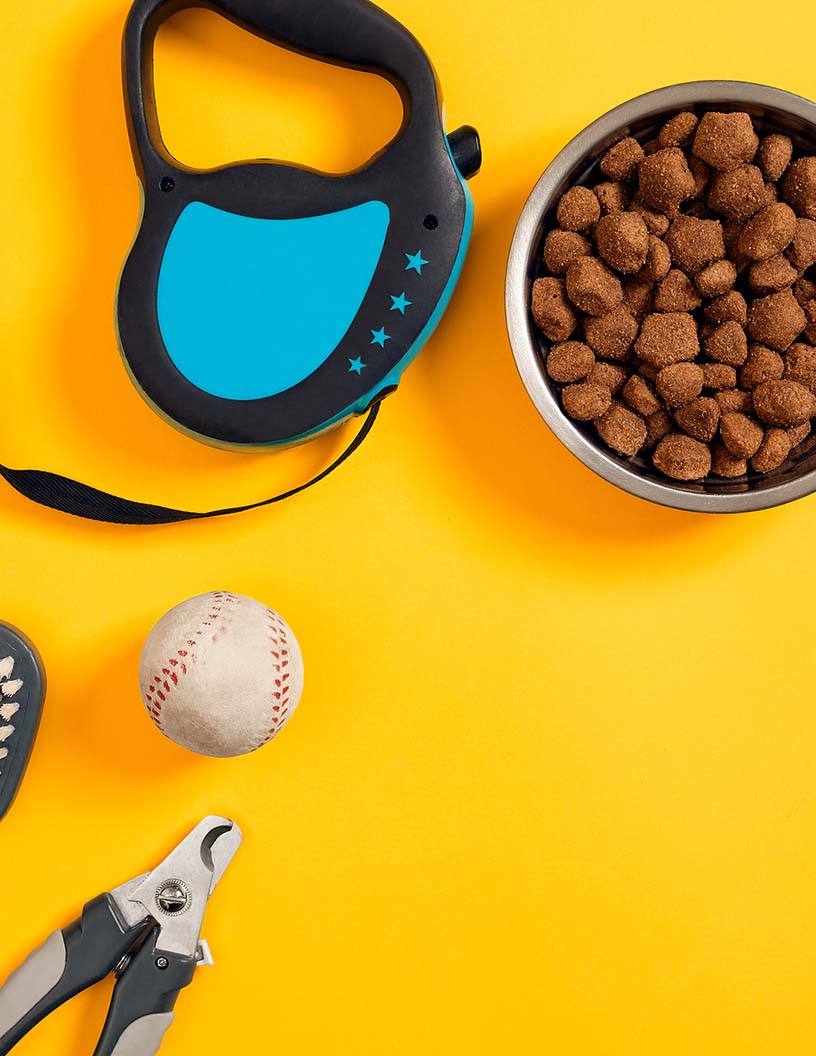 Pet Grooming Products Market Analysis North America, Europe, APAC, Middle East and Africa, South America - US, China, Germany, UK, Japan - Size and Forecast 2024-2028