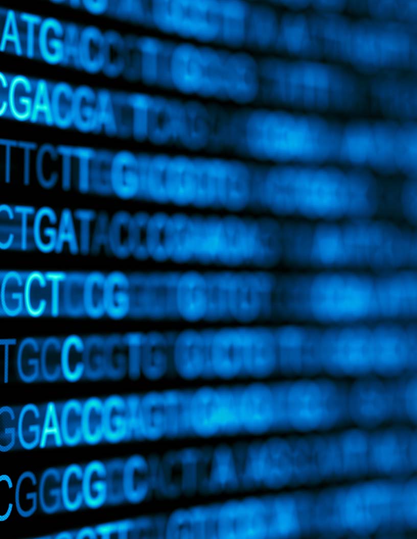Next Generation Sequencing Data Analysis Market Analysis North America, Europe, Asia, Rest of World (ROW) - US, Germany, Canada, China, UK - Size and Forecast 2024-2028