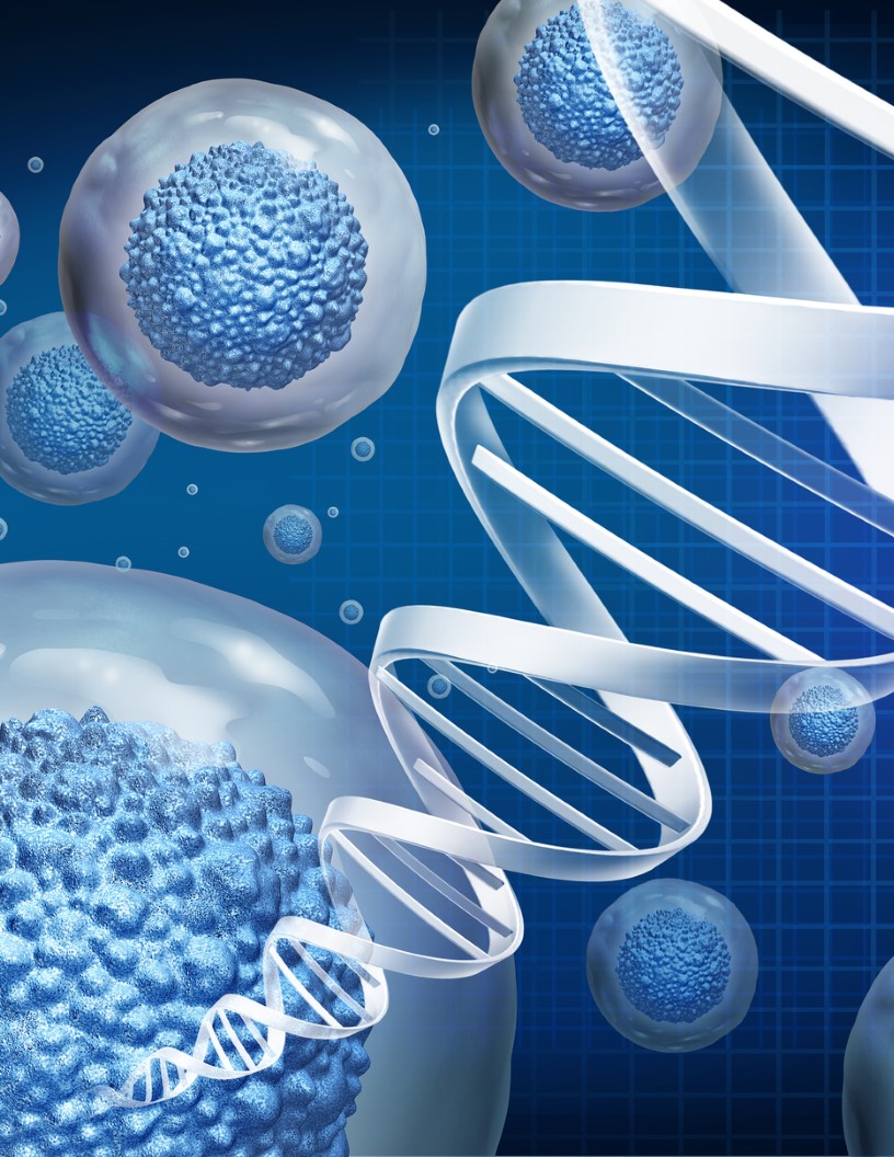 Tissue Engineering And Regeneration Market Analysis North America, Europe, Asia, Rest of World (ROW) - US, Germany, UK, Canada, China - Size and Forecast 2024-2028