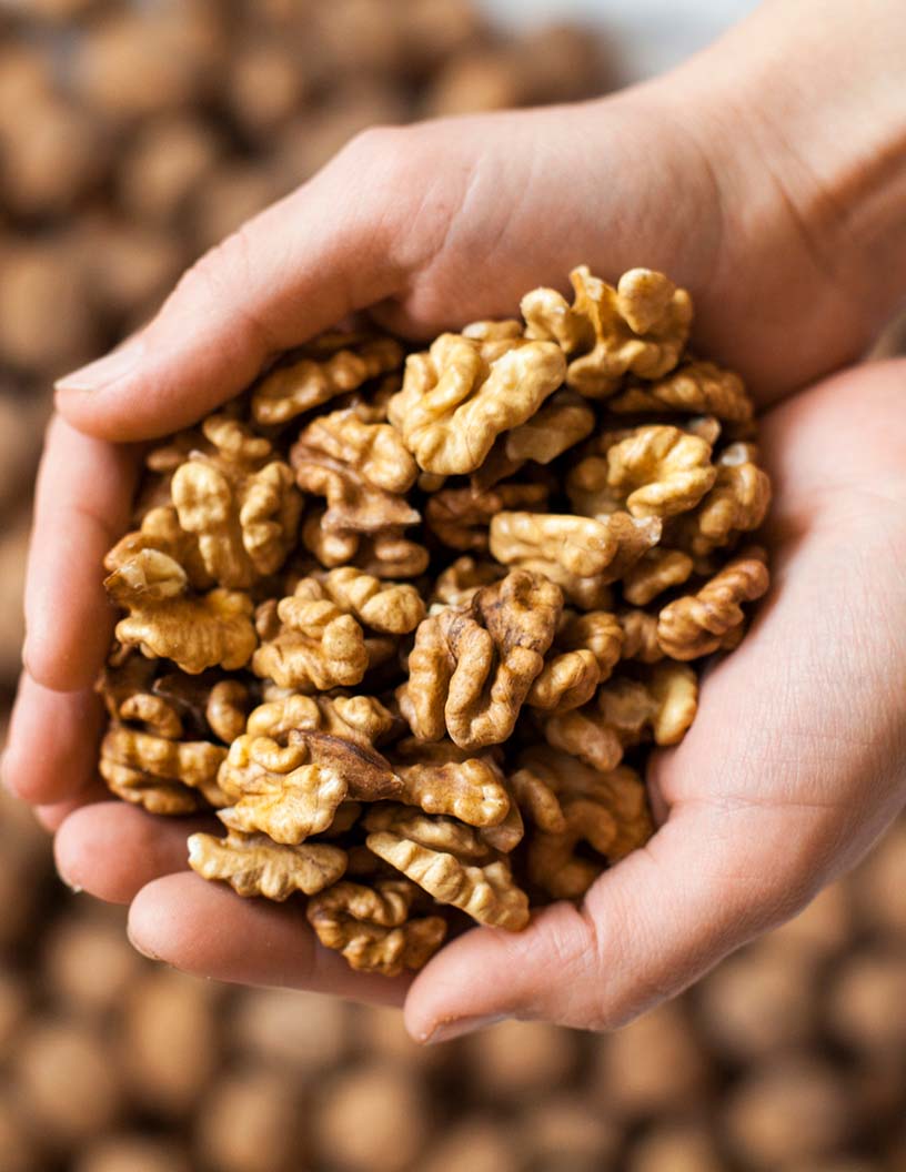 Walnut Market Analysis APAC, Europe, North America, Middle East and Africa, South America - China, US, Germany, India, Spain - Size and Forecast 2024-2028