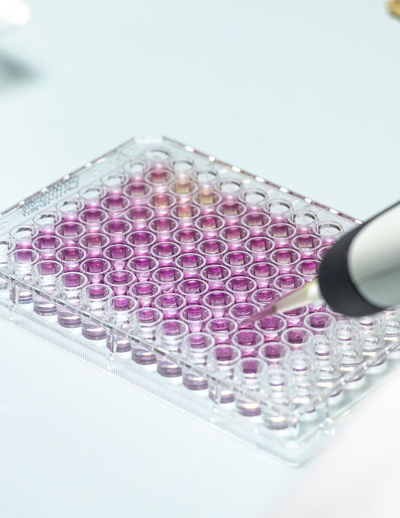 Breast Cancer Monoclonal Antibodies Market Analysis North America, Europe, Asia, Rest of World (ROW) - US, France, China, The Netherlands, Canada - Size and Forecast 2024-2028