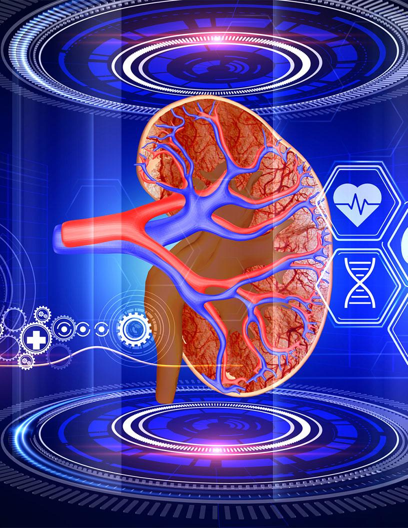 Medical Simulation Market Analysis North America, Europe, Asia, Rest of World (ROW) - US, UK, Canada, China, Germany - Size and Forecast 2024-2028