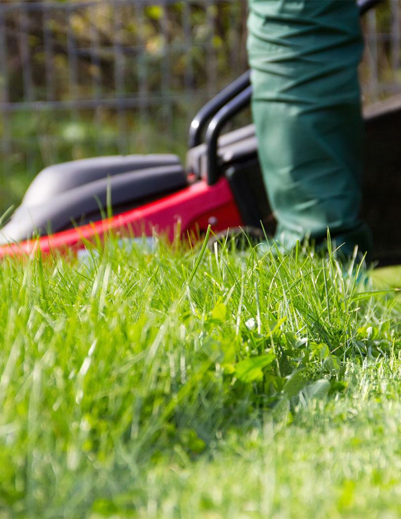 US Landscaping Services Market Analysis - Size and Forecast 2025-2029