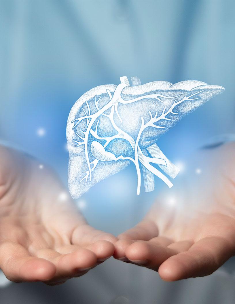 Ursodeoxycholic Acid Market Analysis, Size, and Forecast 2025-2029: North America (US and Canada), Europe (France, Germany, Italy, and UK), APAC (China, India, and Japan), South America (Brazil), and Rest of World (ROW)