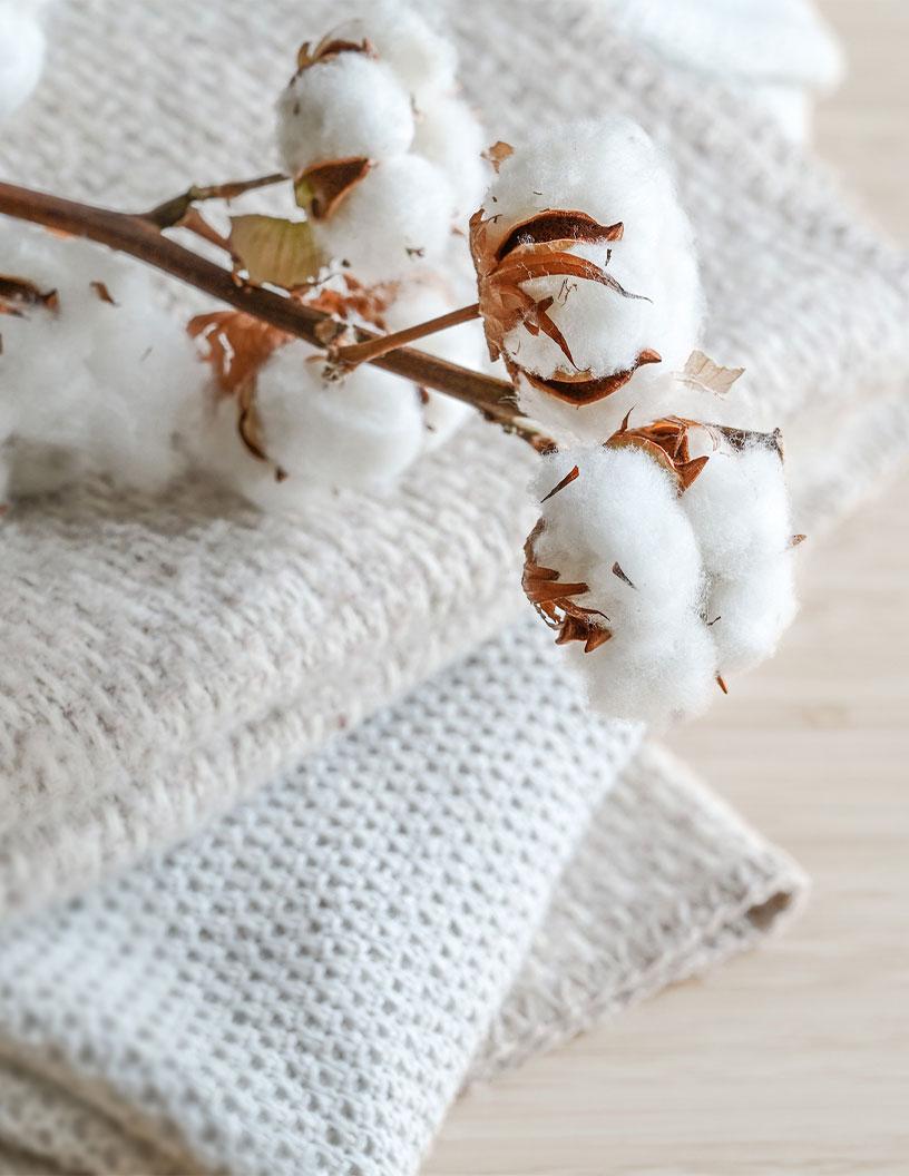 Sustainable Fabrics Market Analysis APAC, Europe, North America, South America, Middle East and Africa - US, China, Japan, India, UK, Germany, Canada, South Korea, Italy, France - Size and Forecast 2025-2029